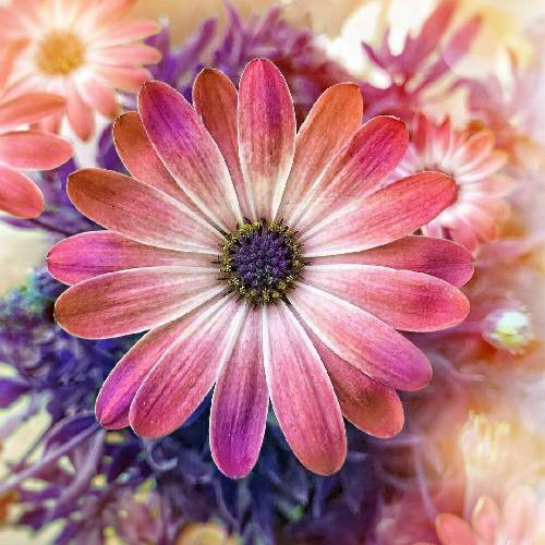  قلب تند میزد فقط با تو میبوسم از دور من